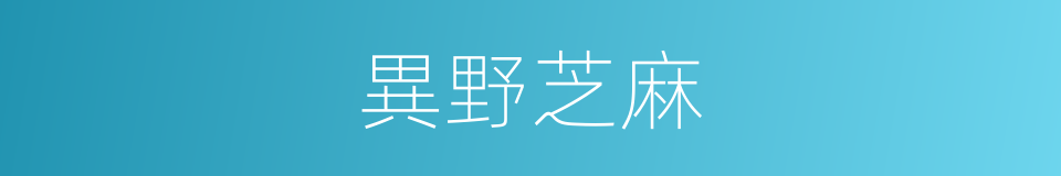 異野芝麻的同義詞