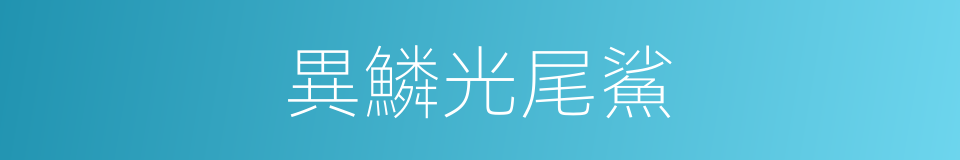 異鱗光尾鯊的同義詞