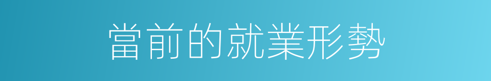 當前的就業形勢的同義詞