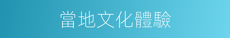 當地文化體驗的同義詞