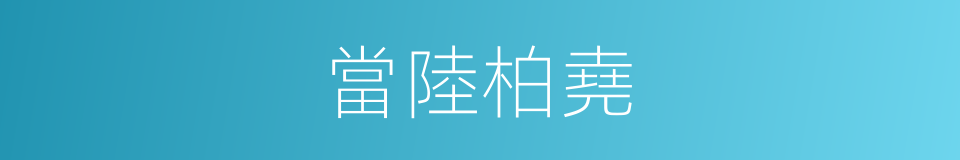 當陸柏堯的同義詞