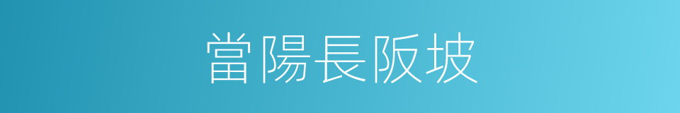 當陽長阪坡的同義詞