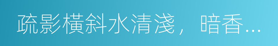 疏影橫斜水清淺，暗香浮動月黃昏的同義詞