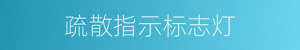 疏散指示标志灯的同义词