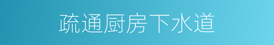 疏通厨房下水道的同义词