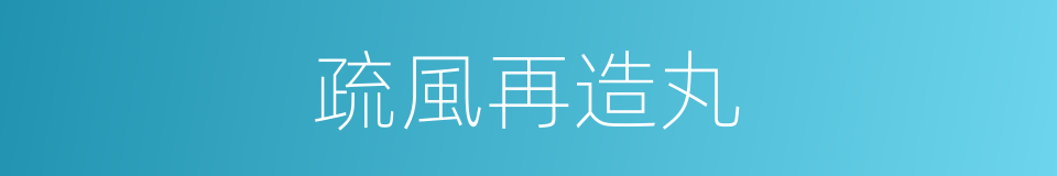 疏風再造丸的同義詞