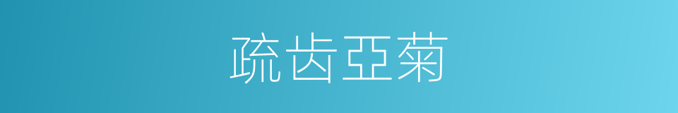 疏齿亞菊的同義詞