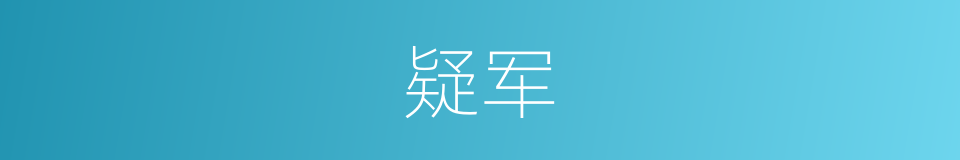 疑军的意思