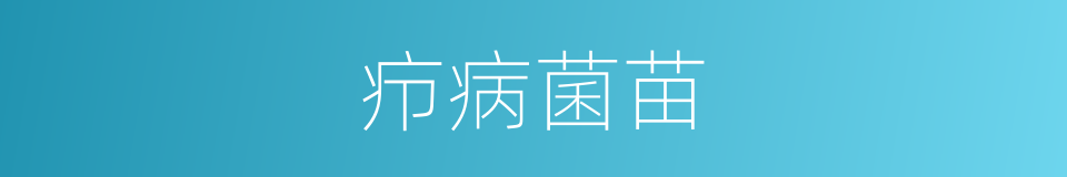 疖病菌苗的同义词