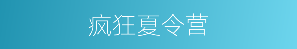 疯狂夏令营的同义词