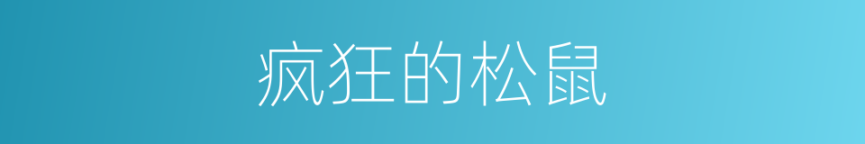 疯狂的松鼠的同义词