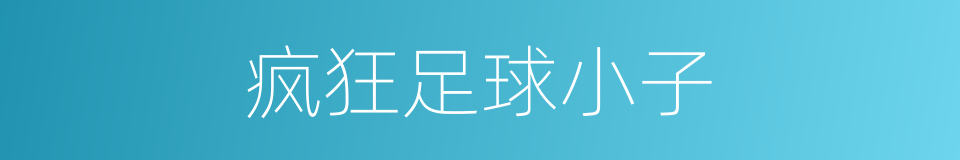 疯狂足球小子的同义词