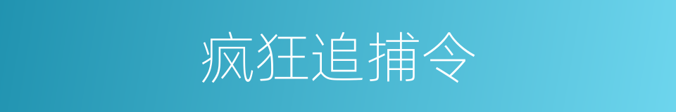 疯狂追捕令的同义词