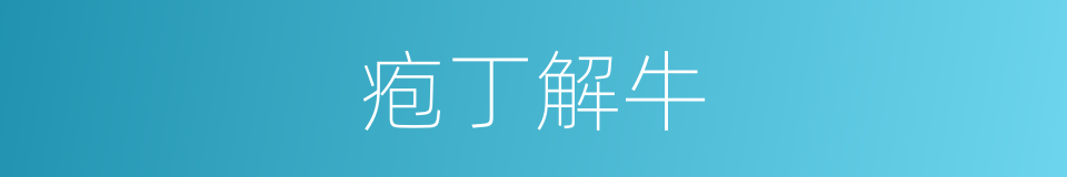 疱丁解牛的意思