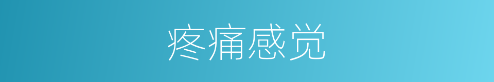 疼痛感觉的同义词