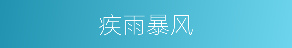 疾雨暴风的意思