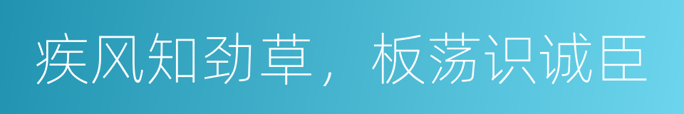疾风知劲草，板荡识诚臣的同义词