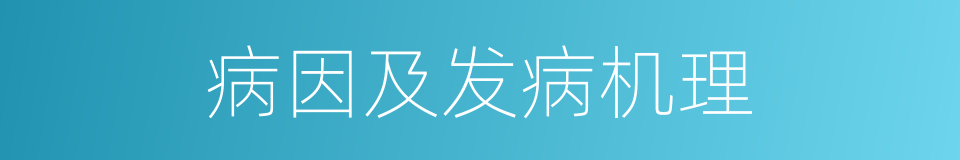 病因及发病机理的同义词