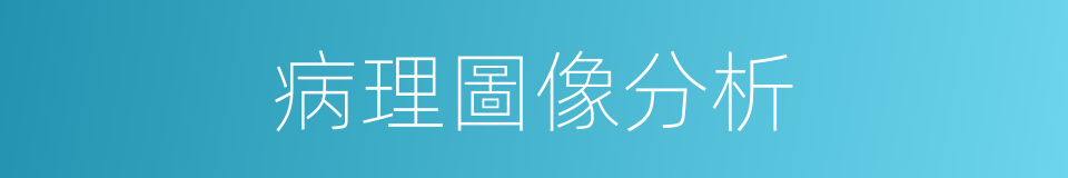 病理圖像分析的同義詞
