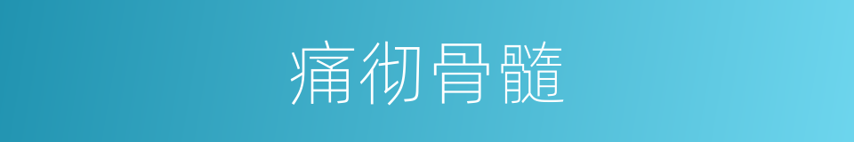 痛彻骨髓的意思
