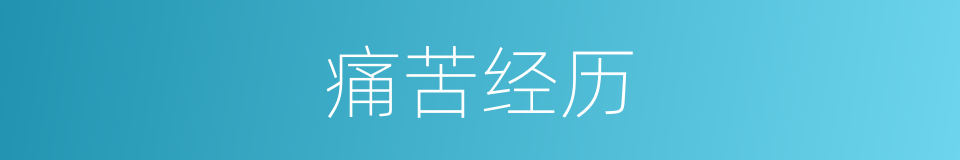 痛苦经历的同义词