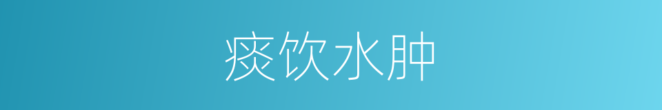 痰饮水肿的同义词
