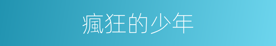 瘋狂的少年的同義詞