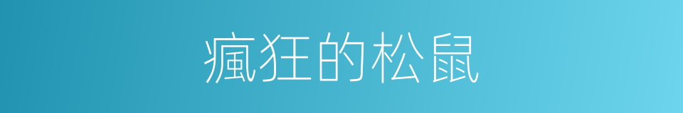 瘋狂的松鼠的同義詞