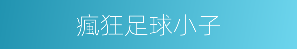 瘋狂足球小子的同義詞