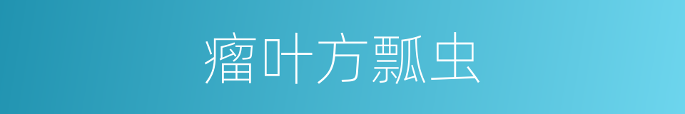 瘤叶方瓢虫的同义词