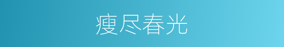 瘦尽春光的同义词