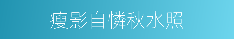 瘦影自憐秋水照的同義詞