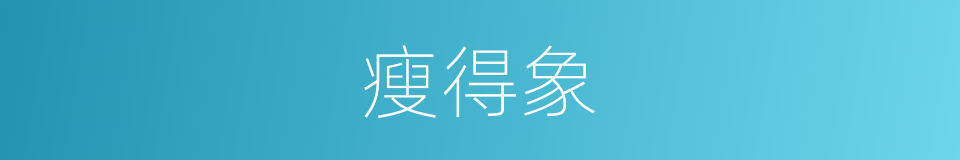 瘦得象的同义词