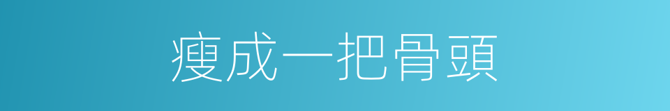 瘦成一把骨頭的同義詞