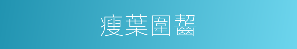 瘦葉圍齧的同義詞