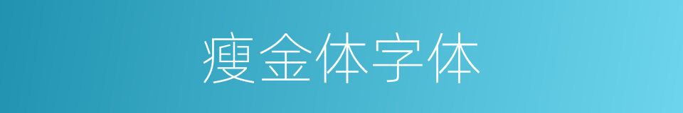 瘦金体字体的同义词