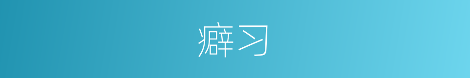 癖习的意思