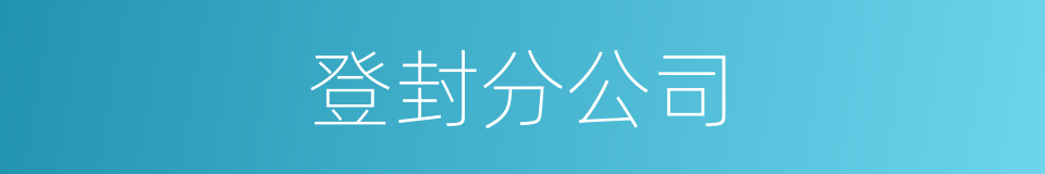 登封分公司的同义词