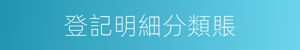 登記明細分類賬的同義詞