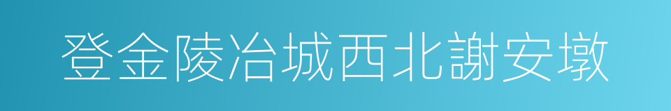 登金陵冶城西北謝安墩的同義詞