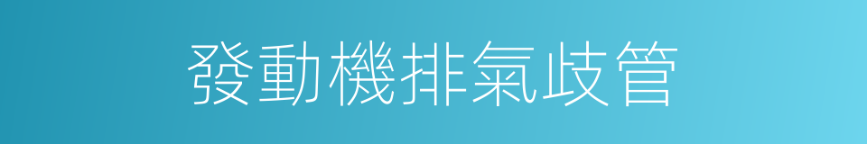 發動機排氣歧管的同義詞