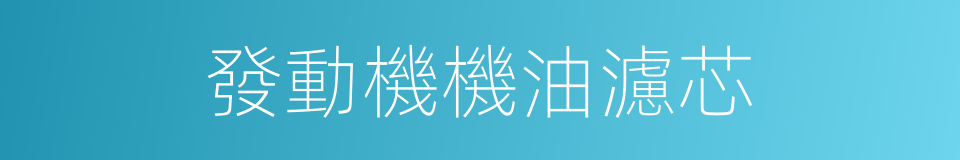 發動機機油濾芯的同義詞