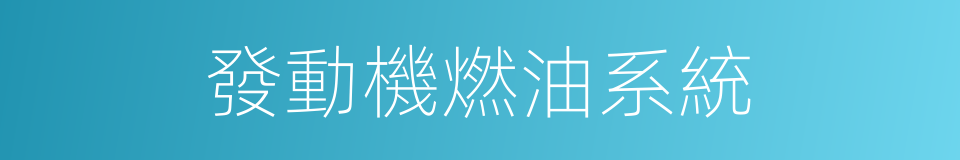 發動機燃油系統的同義詞