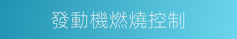 發動機燃燒控制的同義詞