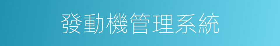 發動機管理系統的同義詞