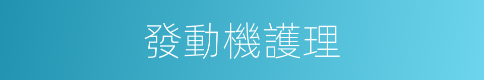 發動機護理的同義詞