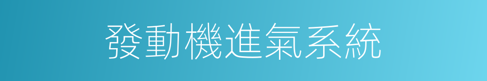 發動機進氣系統的同義詞