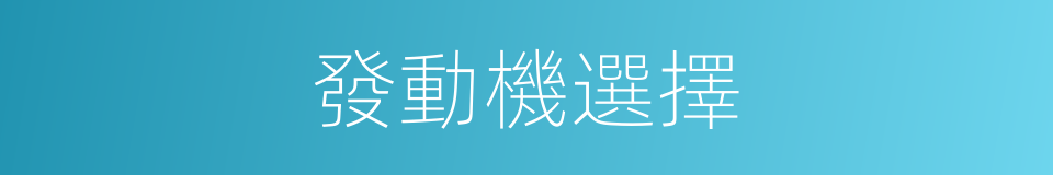 發動機選擇的同義詞