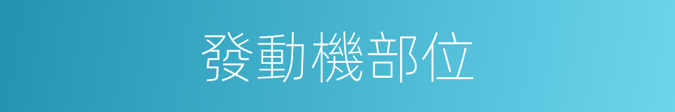 發動機部位的同義詞