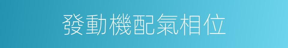 發動機配氣相位的同義詞